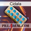 Cidala new09